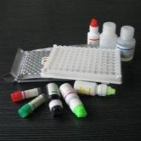人抗肾小球基底膜抗体(GBM)ELISA试剂盒