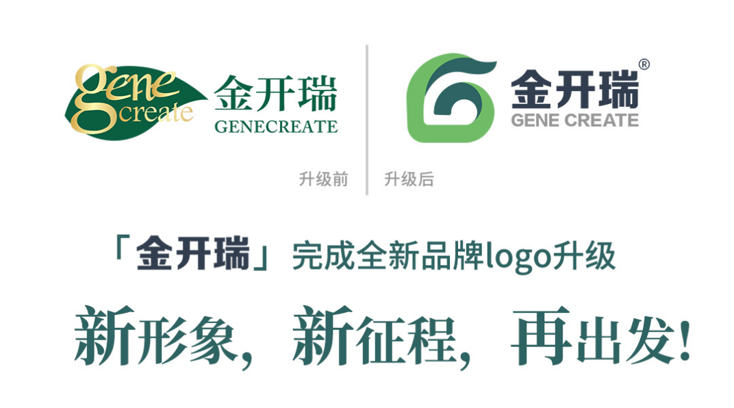 「金开瑞」完成全新品牌logo升级 新形象，新征程，再出发!