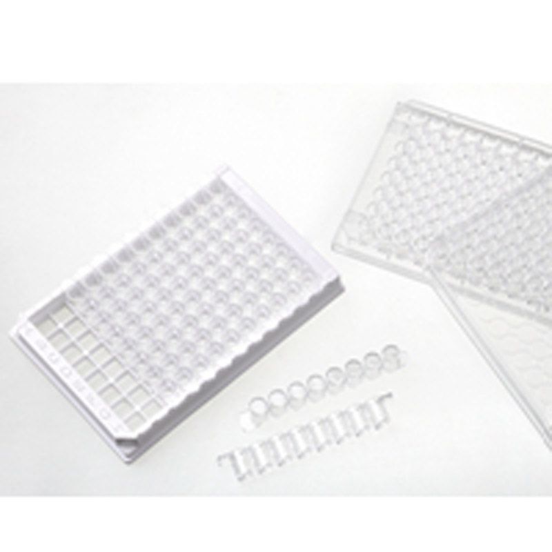 100096HS  in vitro scientific高结合力可拆酶标板