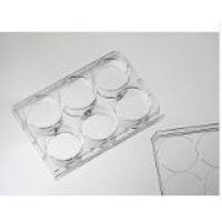 020006 in vitro scientific 6孔细胞培养板