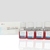Mo-MuLV/3T3小鼠Mo-MuLv感染的3T3细胞专用培养基