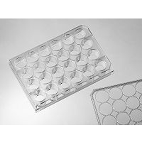 020024  in vitro scientific  2