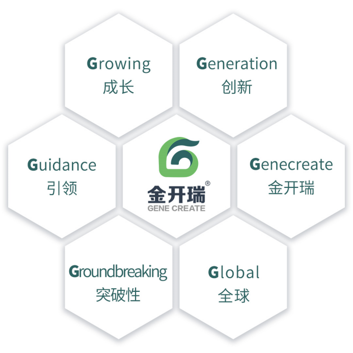 「金开瑞」完成全新品牌logo升级 新形象，新征程，再出发!