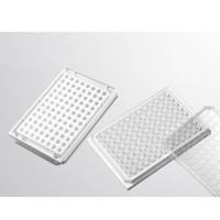 064096 in vitro scientific 96孔分析板-白色透明底,未处理,未灭菌,无盖(康宁的3632)-定制