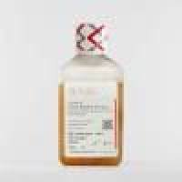 VivaCell 胚胎干细胞专用胎牛血清 C04002-500