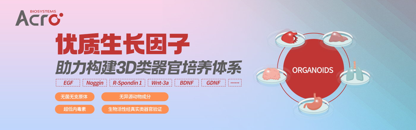 Wnt-3a/Noggin/EGF/RSPO1--类器官培养体系“四巨头”