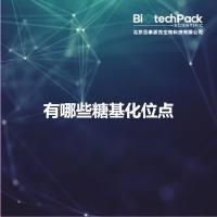 有哪些糖基化位点