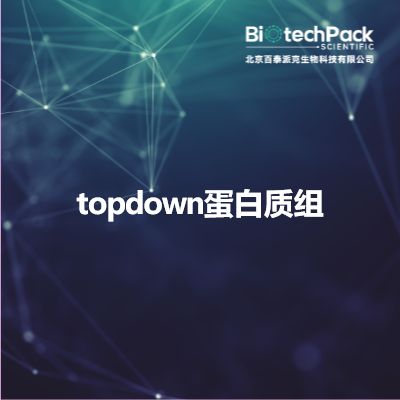 topdown蛋白质组