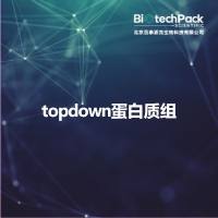 topdown蛋白质组