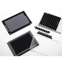 300096H in vitro scientific 96孔分析板-高结合力黑色无盖（康宁3925）