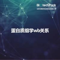 蛋白质组学wb关系