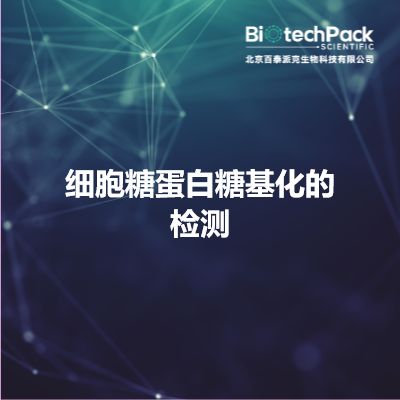 细胞糖蛋白糖基化的检测