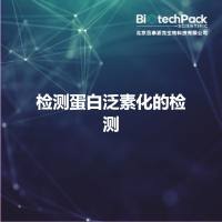 检测蛋白泛素化的检测