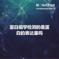 蛋白组学检测的是蛋白的表达量吗