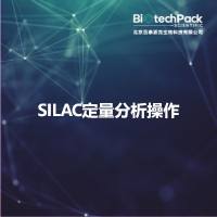 SILAC定量分析操作