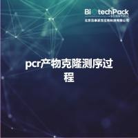 pcr产物克隆测序过程