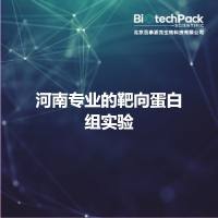 河南专业的靶向蛋白组实验