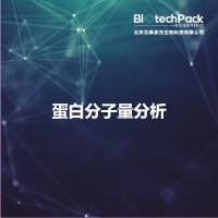 蛋白分子量分析