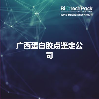 广西蛋白胶点鉴定公司