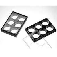 P06-1.5H-N Cellvis 6玻底培养板-1.5号高平玻片（玻片厚度0.17±0.005