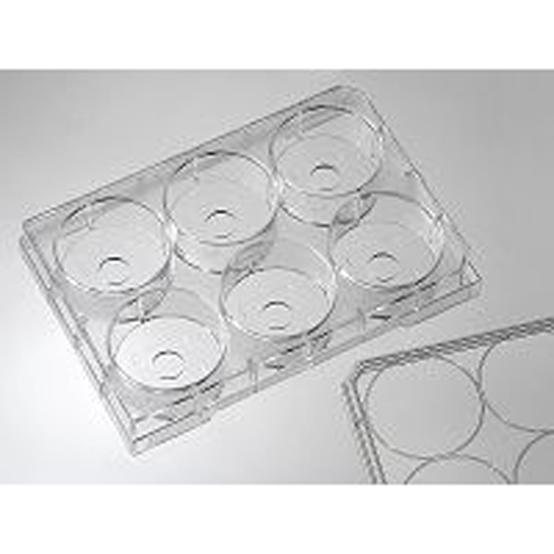 P06-10-1.5-N Cellvis 6孔小孔玻底培养板