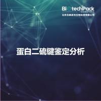 蛋白二硫键鉴定分析