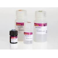 美天旎Miltenyi130-075-202 uMACS mRNA Isolation Starting Kit/uMACS mRNA分离起始试剂盒