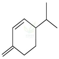 3-异丙基-6-亚甲基-1-环/己/烯/β-水芹烯 CAS号:555-10-2
