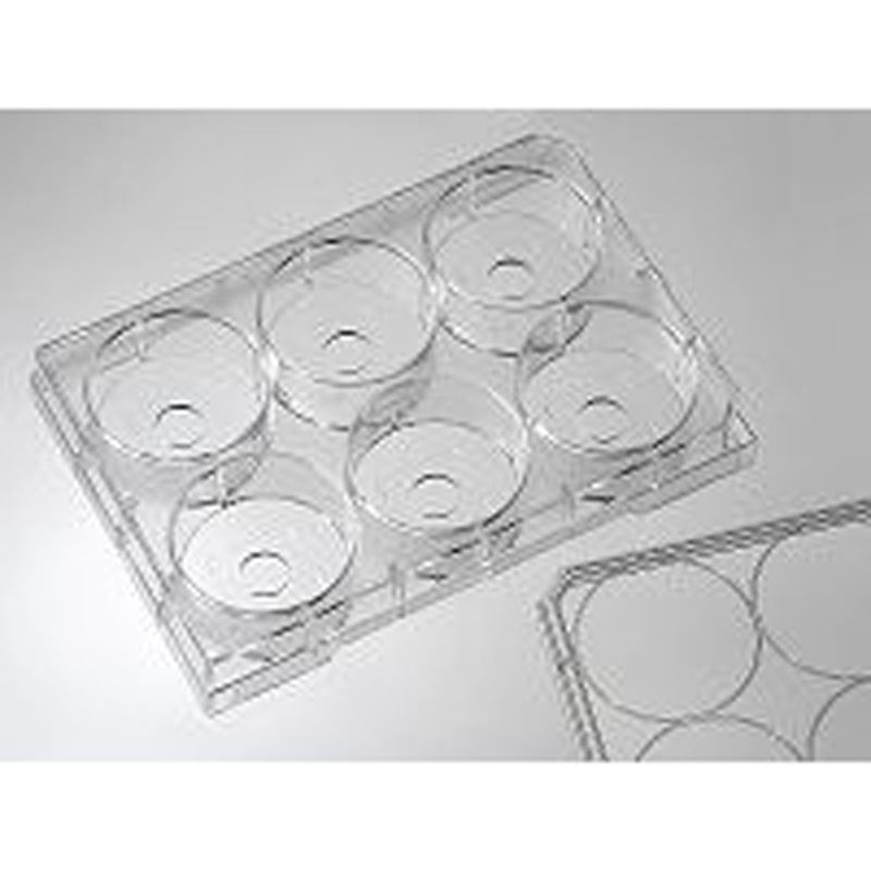 P06-10-1.5-N Cellvis 6孔小孔玻底培养板,10mm孔,1.5号玻片(玻片厚度0.16-0.17mm)
