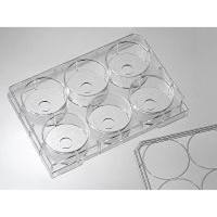 P06-10-1.5-N Cellvis 6孔小孔玻底培养板，10mm孔，1.5号玻片（玻片厚度0