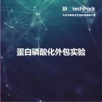 蛋白磷酸化外包实验