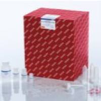 qiagen 凯杰优秀代理商 77144 exoRNeasy Midi Kit (50)