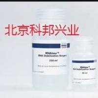 76106 凯杰优秀代理商  RNAprotect Tissue Reagent (250 ml)