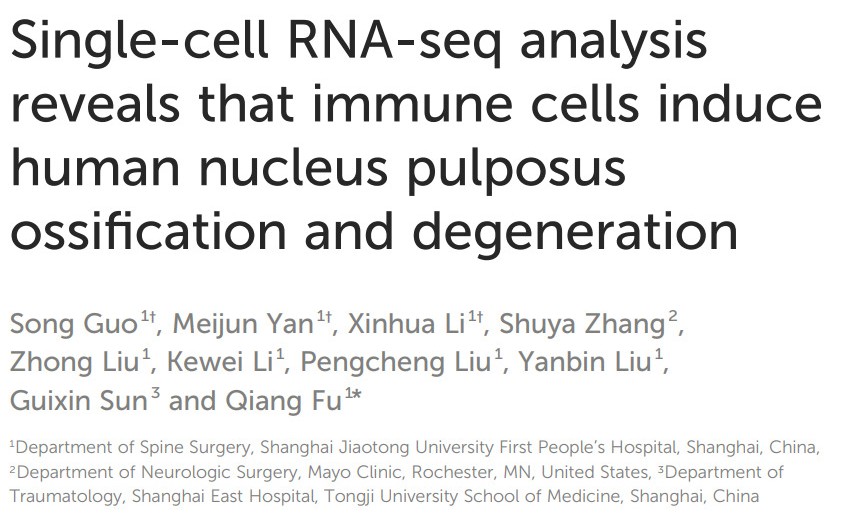单细胞测序：揭示人椎间盘髓核退行性病变分子机制