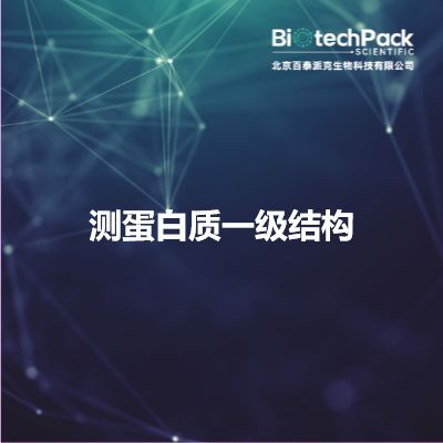 测蛋白质一级结构