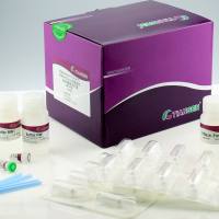 Stemgent RNA重编程试剂盒