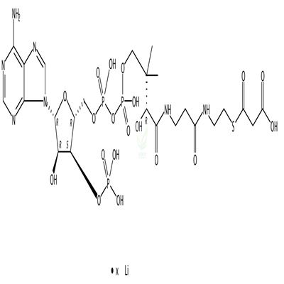 丙二酰辅酶A锂盐  CAS号：108347-84-8