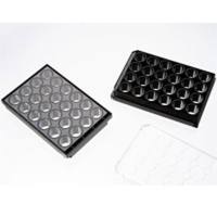 P24-0-N Cellvis 24玻底培养板-0号玻片（玻片厚度0.085-0.115mm）