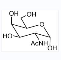 N-Acetyl-D-galactosamine