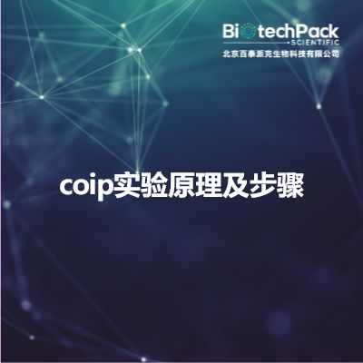coip实验原理及步骤