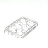 6孔细胞培养板,平底,TC处理