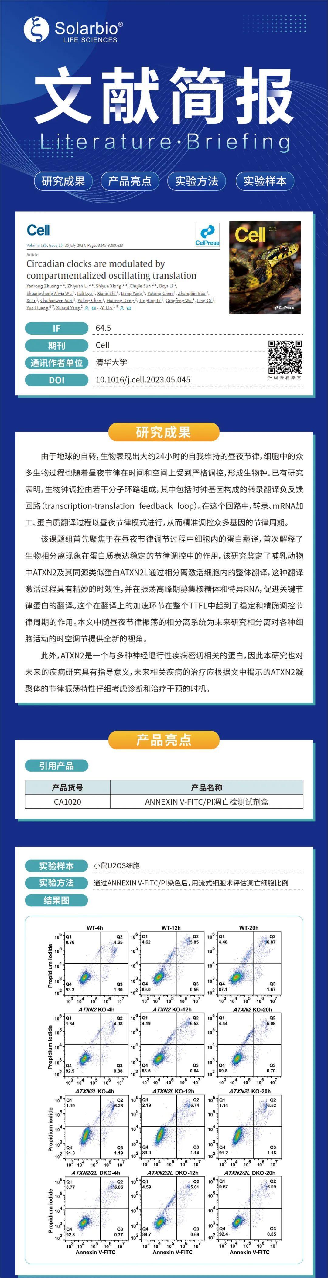 文献简报|区室化振荡翻译调节昼夜节律时钟