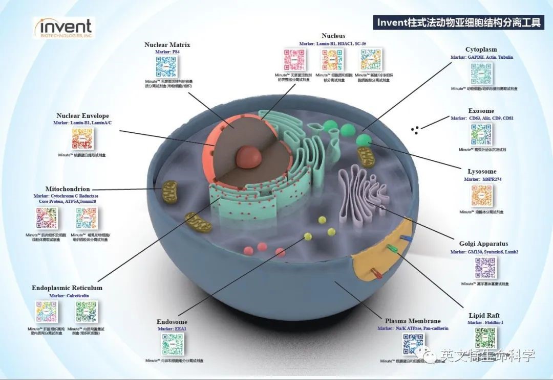 “考古”44年前第一次WB是怎样做的？