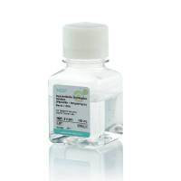 抗生素及支原体清除剂