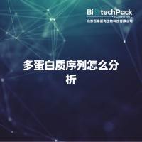 多蛋白质序列怎么分析