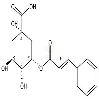 5-O-肉桂酰奎宁酸  CAS号：6470-68-4