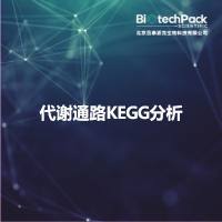 代谢通路KEGG分析