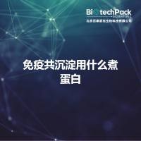 免疫共沉淀用什么煮蛋白