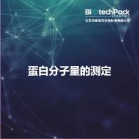 蛋白分子量的测定