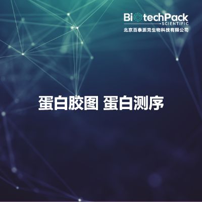 蛋白胶图 蛋白测序